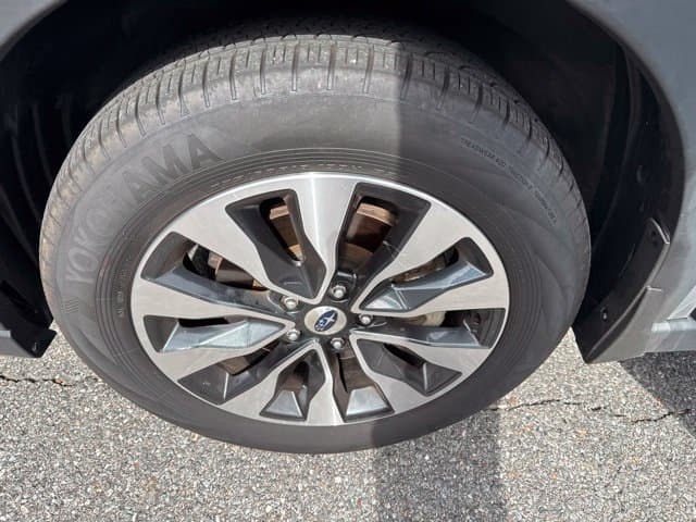 Pre-Owned 2025 Subaru Outback Limited - photo - 14